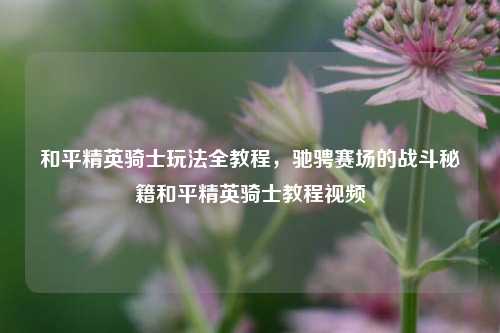 和平精英骑士玩法全教程，驰骋赛场的战斗秘籍和平精英骑士教程视频