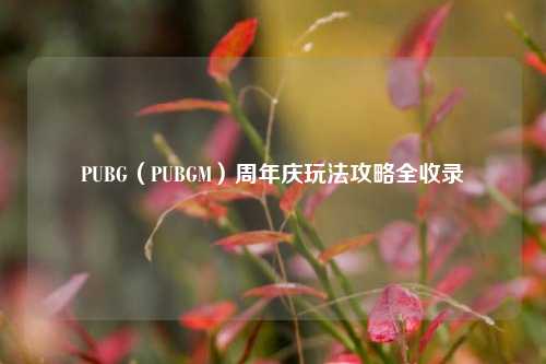 PUBG(PUBGM)周年庆玩法攻略全收录