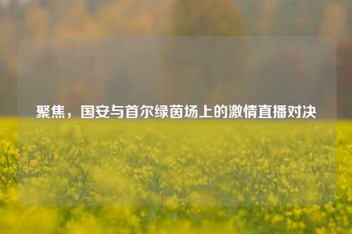 聚焦，国安与首尔绿茵场上的激情直播对决