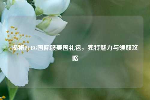 揭秘PUBG国际服美国礼包，独特魅力与领取攻略