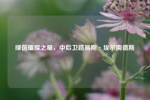 绿茵璀璨之星，中后卫路易斯·埃尔南德斯