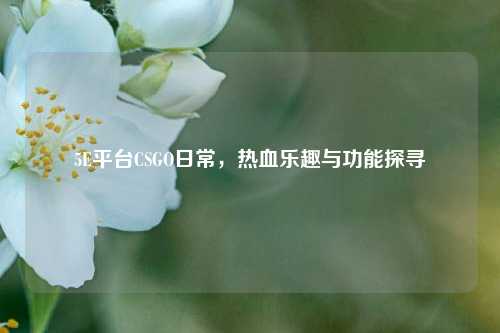 5E平台CSGO日常，热血乐趣与功能探寻