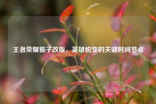 王者荣耀猴子改版,英雄蜕变的关键时间节点