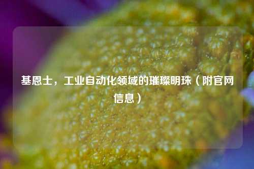 基恩士,工业自动化领域的璀璨明珠(附官网信息)