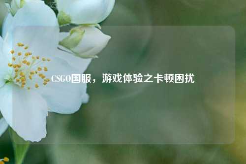 CSGO国服，游戏体验之卡顿困扰