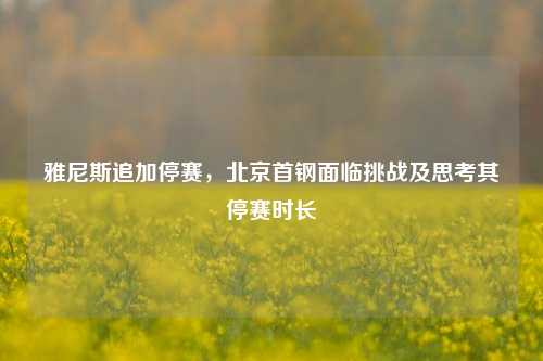 雅尼斯追加停赛，北京首钢面临挑战及思考其停赛时长