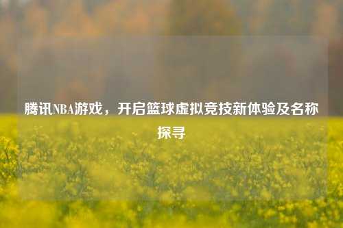 腾讯NBA游戏,开启篮球虚拟竞技新体验及名称探寻