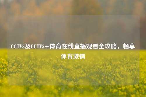 CCTV5及CCTV5+体育在线直播观看全攻略，畅享体育激情