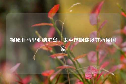 探秘北马里亚纳群岛,太平洋明珠及其所属国家