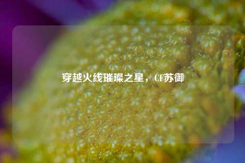 穿越火线璀璨之星,CF苏御