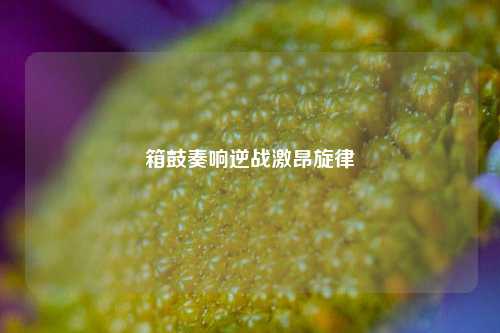 箱鼓奏响逆战激昂旋律