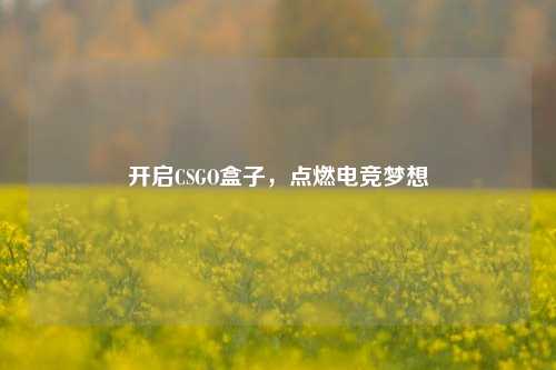 开启CSGO盒子，点燃电竞梦想