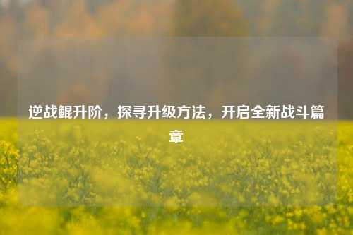 逆战鲲升阶,探寻升级方法,开启全新战斗篇章