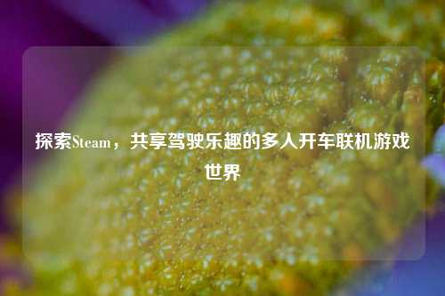 探索Steam,共享驾驶乐趣的多人开车联机游戏世界