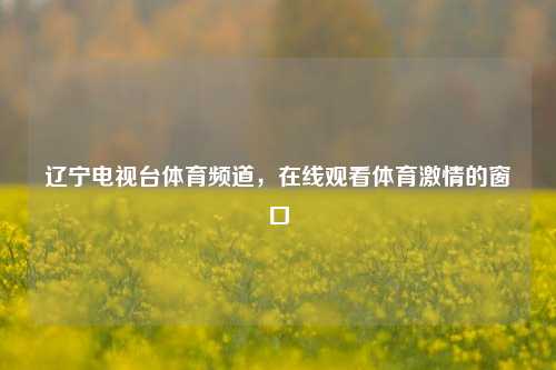 辽宁电视台体育频道，在线观看体育激情的窗口