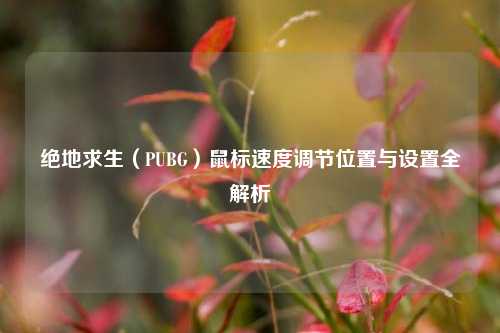绝地求生（PUBG）鼠标速度调节位置与设置全解析