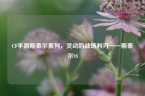 CF手游斯泰尔系列，灵动的战场利刃——斯泰尔SS