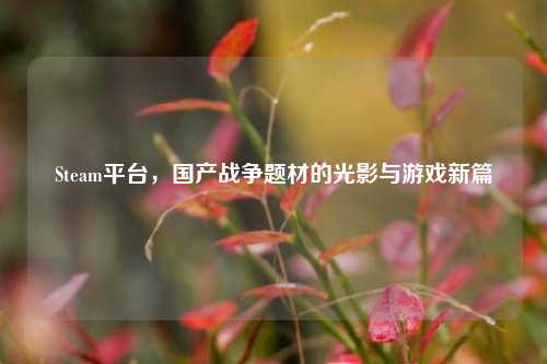 Steam平台，国产战争题材的光影与游戏新篇