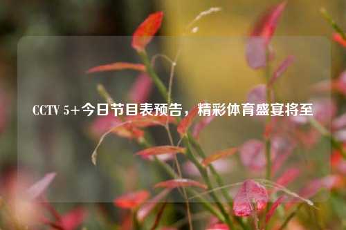CCTV 5+今日节目表预告,精彩体育盛宴将至