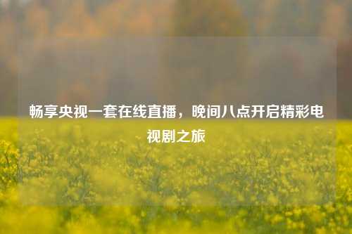 畅享央视一套在线直播,晚间八点开启精彩电视剧之旅