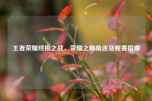 王者荣耀终极之战,荣耀之巅角逐及观赛指南