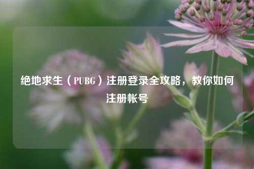 绝地求生(PUBG)注册登录全攻略,教你如何注册帐号