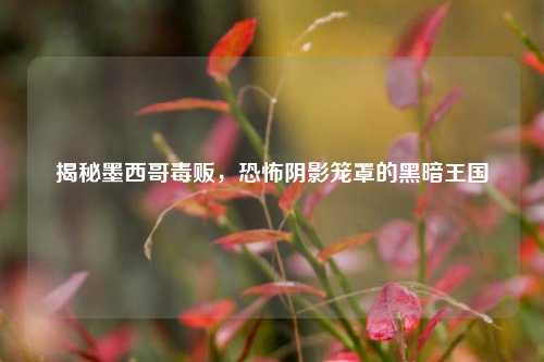 揭秘墨西哥毒贩,恐怖阴影笼罩的黑暗王国