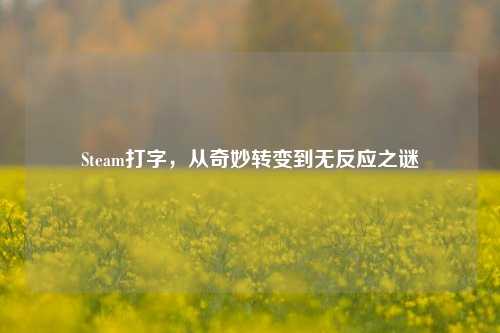 Steam打字，从奇妙转变到无反应之谜