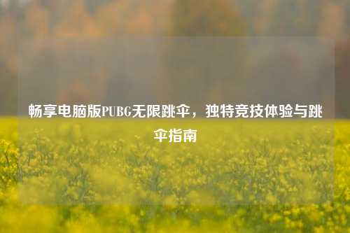 畅享电脑版PUBG无限跳伞,独特竞技体验与跳伞指南