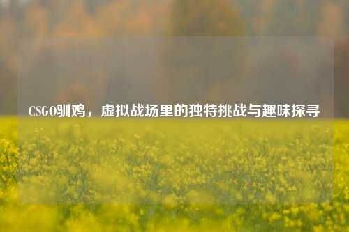 CSGO驯鸡，虚拟战场里的独特挑战与趣味探寻