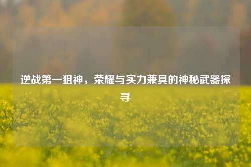 逆战第一狙神,荣耀与实力兼具的神秘武器探寻