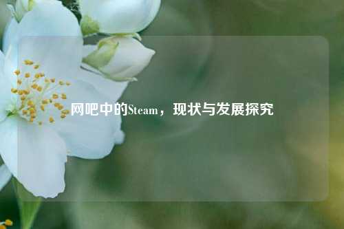 网吧中的Steam，现状与发展探究