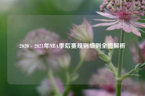 2020 - 2021年NBA季后赛规则细则全面解析