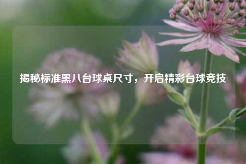 揭秘标准黑八台球桌尺寸,开启精彩台球竞技