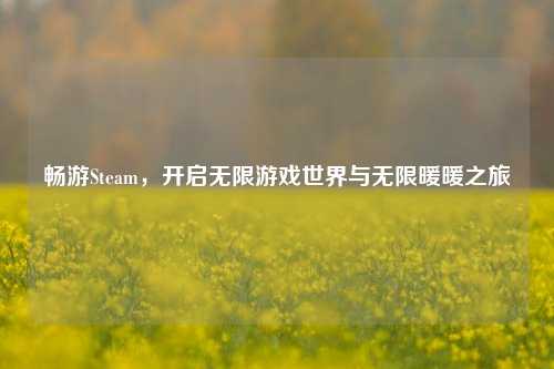 畅游Steam,开启无限游戏世界与无限暖暖之旅