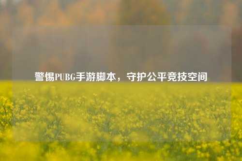警惕PUBG手游脚本，守护公平竞技空间