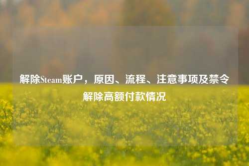 解除Steam账户,原因、流程、注意事项及禁令解除高额付款情况