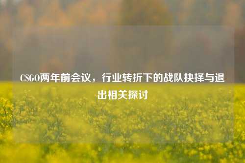 CSGO两年前会议,行业转折下的战队抉择与退出相关探讨