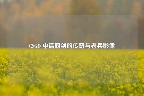CSGO 中清朝剑的传奇与老兵影像