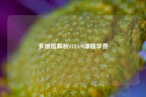 多维度解析STEAM课程学费