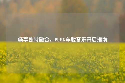 畅享独特融合，PUBG车载音乐开启指南
