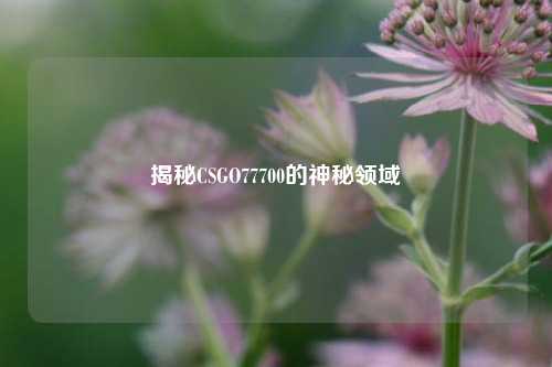 揭秘CSGO77700的神秘领域