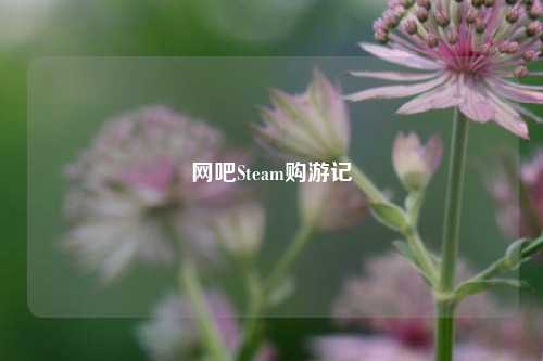 网吧Steam购游记