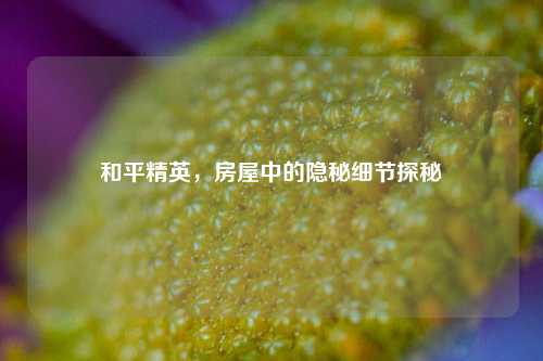 和平精英，房屋中的隐秘细节探秘