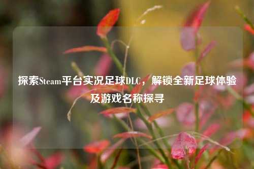 探索Steam平台实况足球DLC，解锁全新足球体验及游戏名称探寻