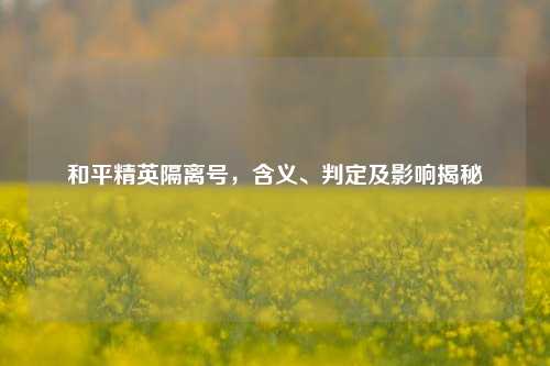和平精英隔离号，含义、判定及影响揭秘