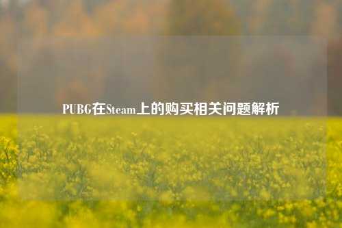 PUBG在Steam上的购买相关问题解析