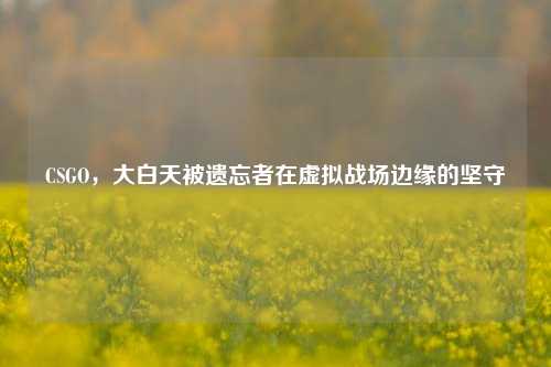 CSGO，大白天被遗忘者在虚拟战场边缘的坚守