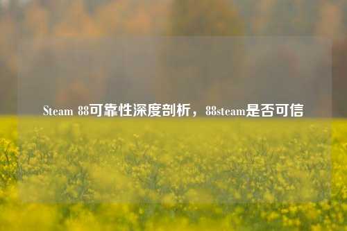 Steam 88可靠性深度剖析,88steam是否可信