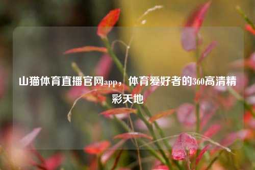 山猫体育直播官网app，体育爱好者的360高清精彩天地